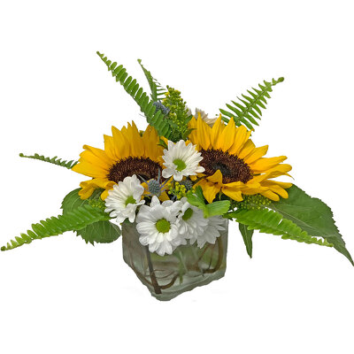Appalachian Suntrise from your local Clinton,TN florist, Knight's Flowers