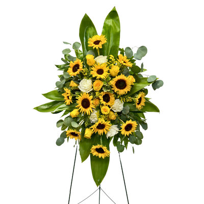 Graceful Sunflower Spray from your local Clinton,TN florist, Knight's Flowers