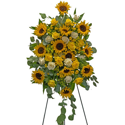 Graceful Sunflower Spray from your local Clinton,TN florist, Knight's Flowers