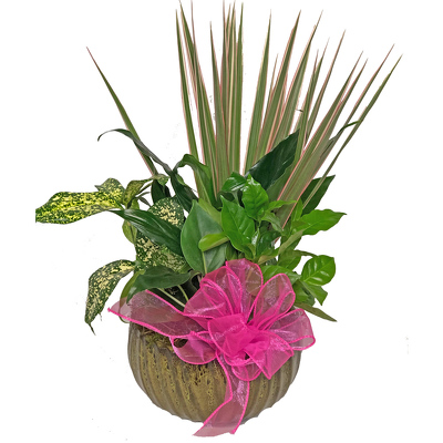 Clinton Florist Oak Ridge Florist Knoxville Flowers