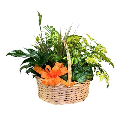 Rustic Planter Garden from your local Clinton,TN florist, Knight's Flowers
