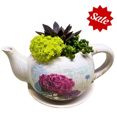 Blooming Brew  from your local Clinton,TN florist, Knight's Flowers