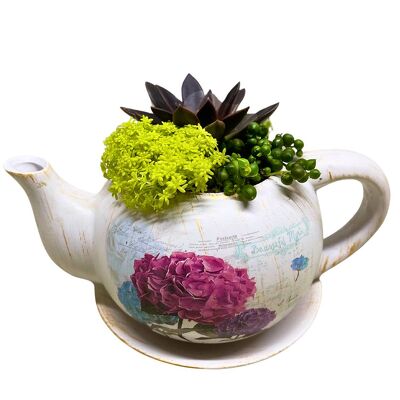 Blooming Brew  from your local Clinton,TN florist, Knight's Flowers