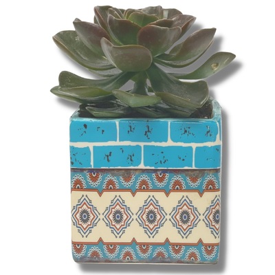 Colorful Ceramic Succulent Planter from your local Clinton,TN florist, Knight's Flowers