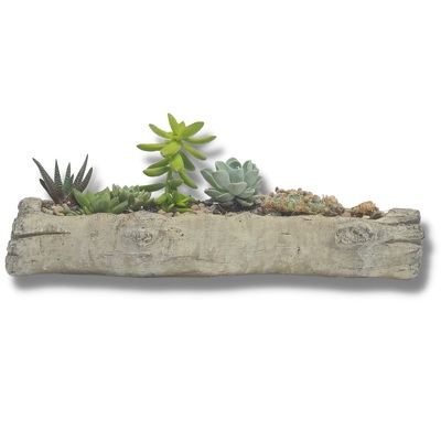 Concrete Succulent Log Planter from your local Clinton,TN florist, Knight's Flowers