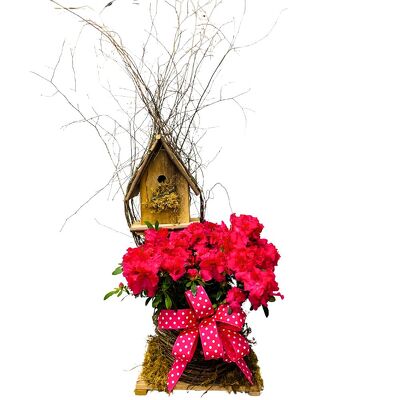 Azelea in Birdhouse Planter from your local Clinton,TN florist, Knight's Flowers
