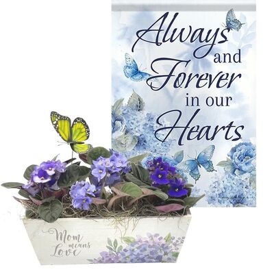 Mom Means Love Violet Planter with flag from your local Clinton,TN florist, Knight's Flowers