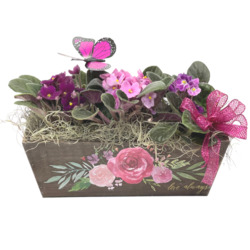 Love African Violet Planter from your local Clinton,TN florist, Knight's Flowers