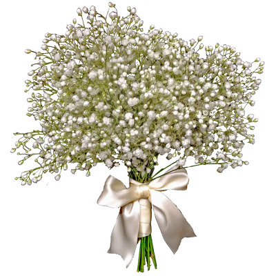 Baby's Breath Bouquet from your local Clinton,TN florist, Knight's Flowers