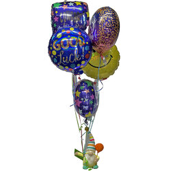 Gnome Birthday Balloon Bouquet from your local Clinton,TN florist, Knight's Flowers