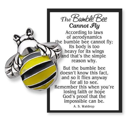 The BumbleBee Cannot Fly  from your local Clinton,TN florist, Knight's Flowers