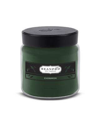 Evergreen Beanpod Candle from your local Clinton,TN florist, Knight's Flowers
