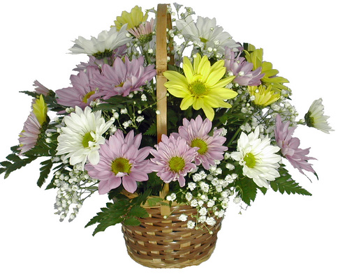Everyday Basket from your local Clinton,TN florist, Knight's Flowers