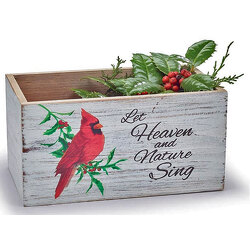 Cardinal Planter from your local Clinton,TN florist, Knight's Flowers