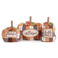 Assorted Plaid Pumpkins With Messages from your local Clinton,TN florist, Knight's Flowers