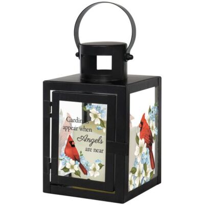 Cardinals Appear Lantern  from your local Clinton,TN florist, Knight's Flowers