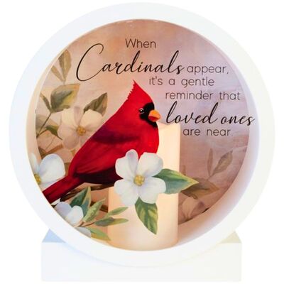 Cardinal Shadow Box Lantern from your local Clinton,TN florist, Knight's Flowers