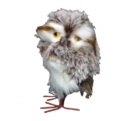 Brown & White Owl from your local Clinton,TN florist, Knight's Flowers