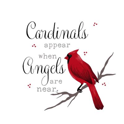 Cardinal Appears When Angel are Near Throw from your local Clinton,TN florist, Knight's Flowers