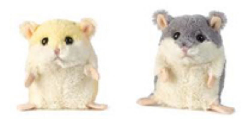 Lil Hamsters from your local Clinton,TN florist, Knight's Flowers