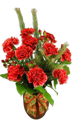 Cinnamon Twist Carnations from your local Clinton,TN florist, Knight's Flowers
