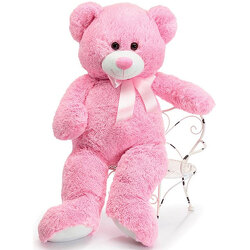 Plush Pink Bear from your local Clinton,TN florist, Knight's Flowers