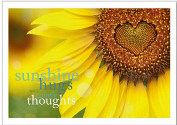 Sunshine and Hugs Get Well Soon Card from your local Clinton,TN florist, Knight's Flowers