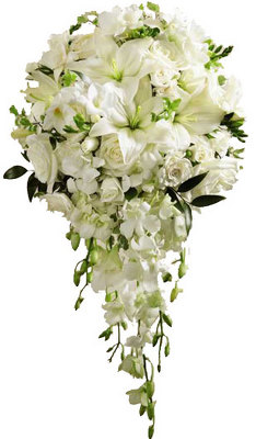 Perpetual Cascade from your local Clinton,TN florist, Knight's Flowers