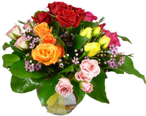Jewels from your local Clinton,TN florist, Knight's Flowers