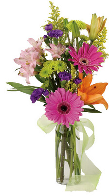 Bright Wishes from your local Clinton,TN florist, Knight's Flowers