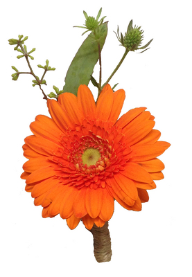 Color Me Pretty Boutonniere from your local Clinton,TN florist, Knight's Flowers