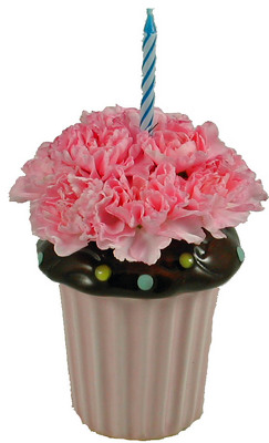 Cupcake Surprise from your local Clinton,TN florist, Knight's Flowers