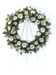 White Daisy Wreath from your local Clinton,TN florist, Knight's Flowers