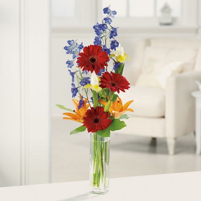 Gerbera Greetings from your local Clinton,TN florist, Knight's Flowers
