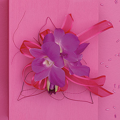 Magenta Orchid Shoulder Corsage from your local Clinton,TN florist, Knight's Flowers