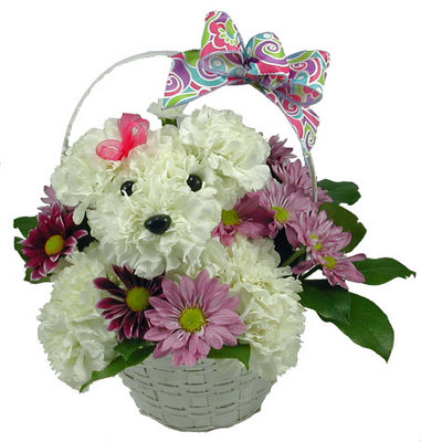 You're So Doggone Cute from your local Clinton,TN florist, Knight's Flowers